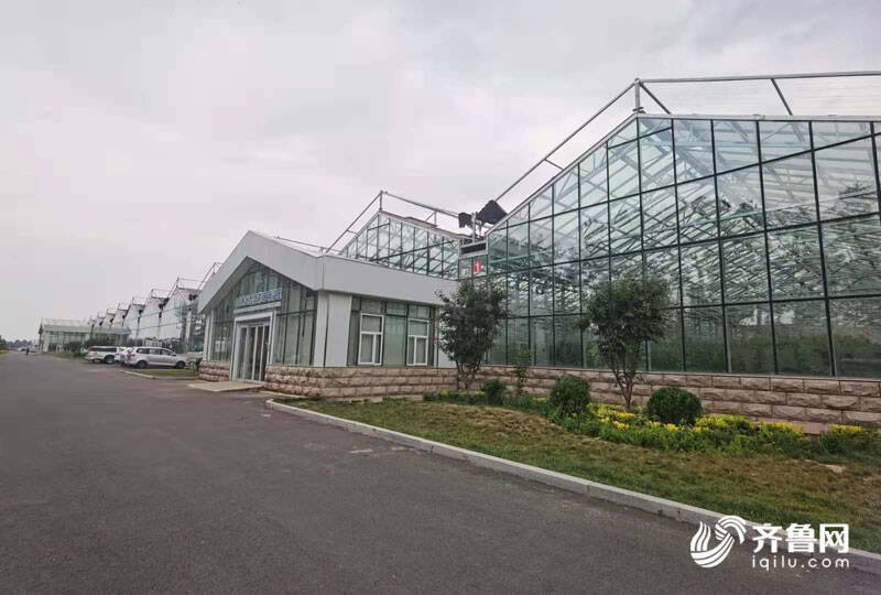 高端智庫看山東 如何豐富“壽光模式”內涵？專家支招 結合新發展機遇，用數字經濟賦能產業，推廣新材料技術
